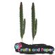 Φυτά cacTus 2x1x18