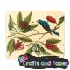 bnf πανακι για γυαλια oiseau branche