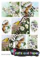 Ριζόχαρτο Α3 (30x40) για Decoupage