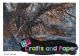 Ριζόχαρτο Α3 (30x40) για Decoupage