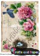 Ριζόχαρτο Α4 (20x30) για Decoupage
